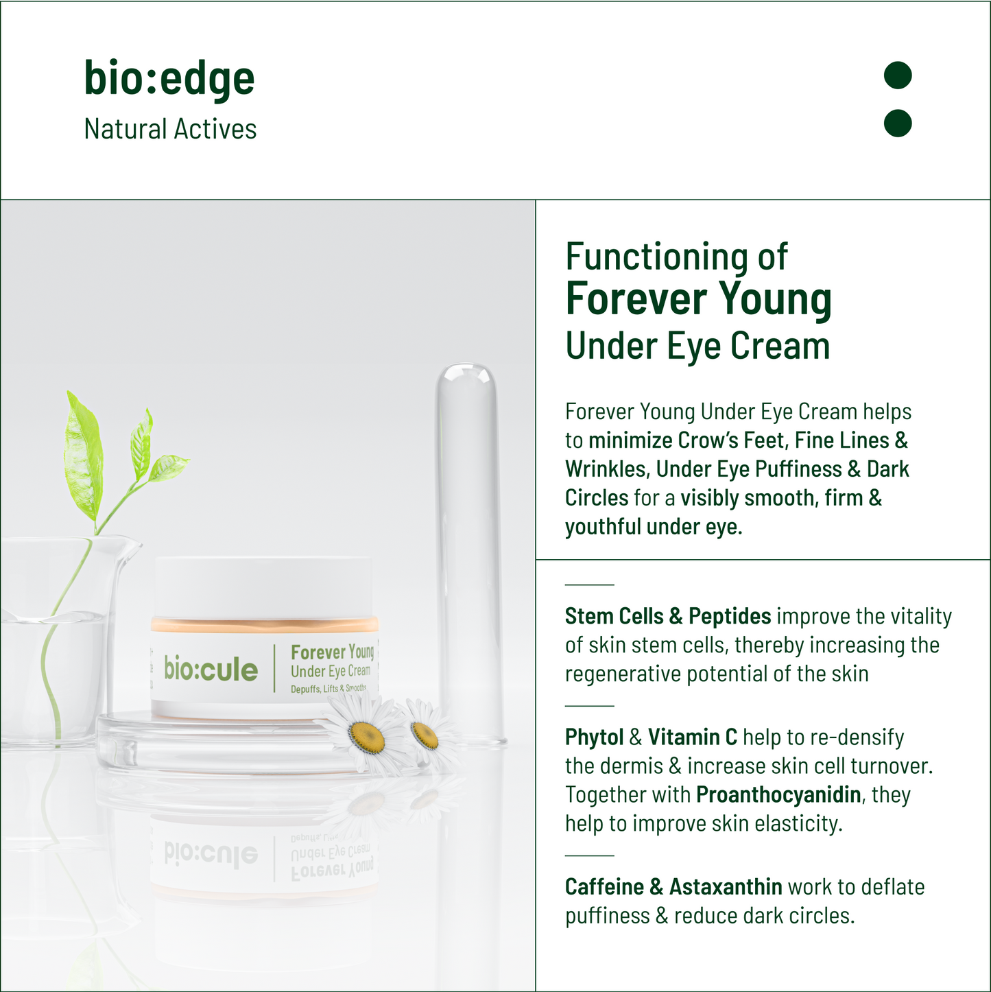 Forever Young Under Eye Cream