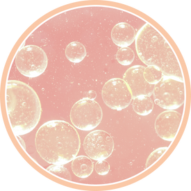 Frame_5191