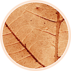 Frame_5193