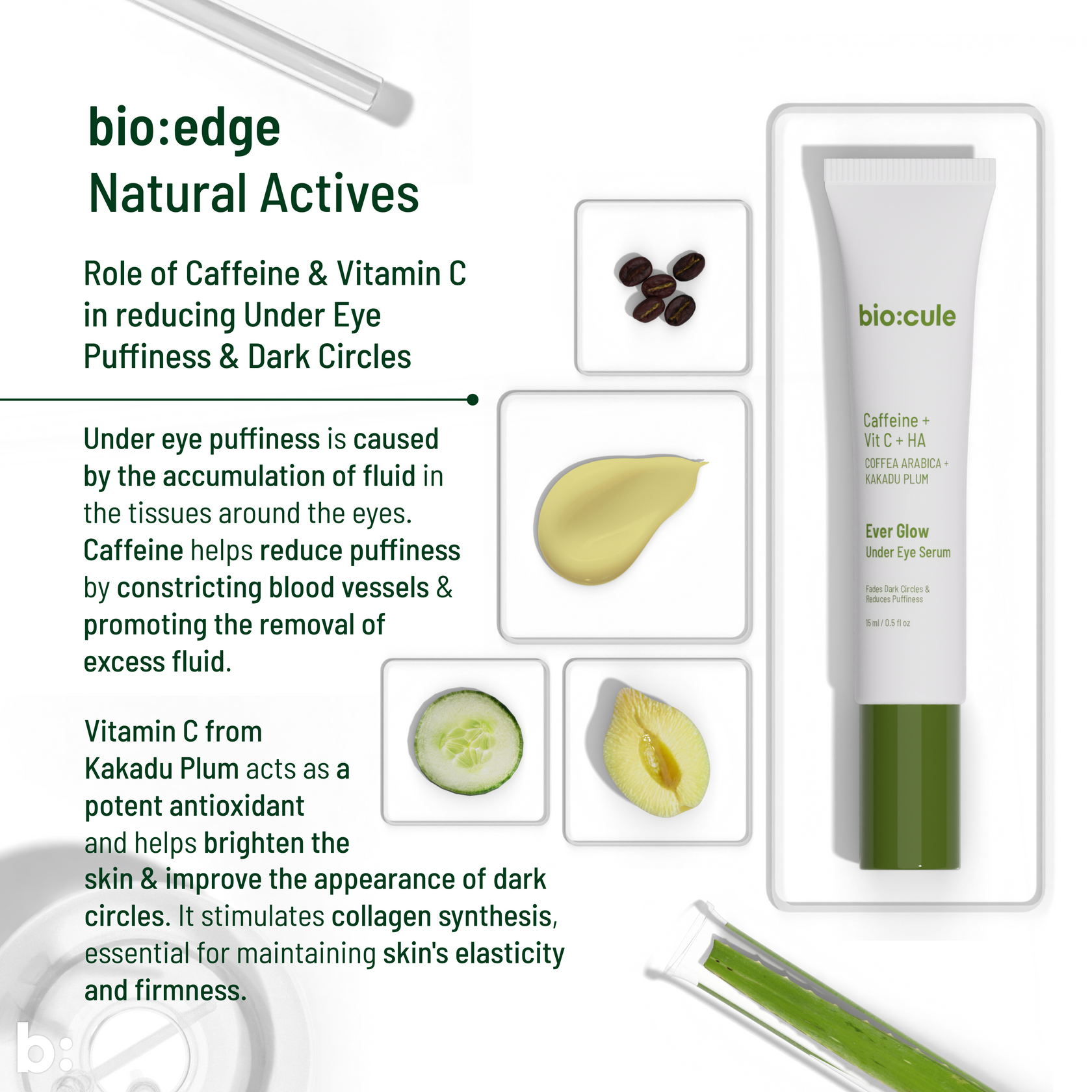 Ever Glow Under Eye Serum biocule